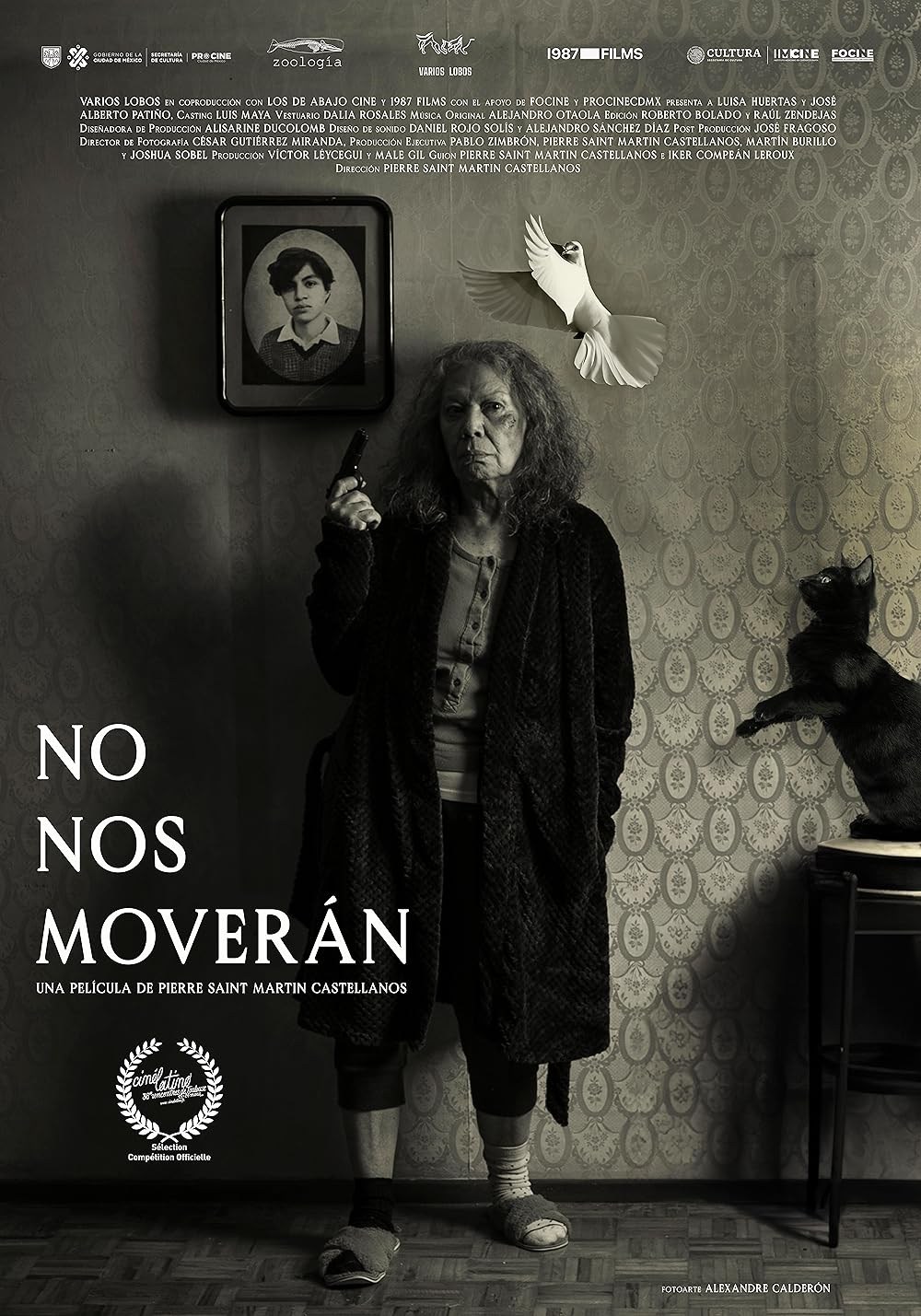 Poster de NO NOS MOVERÁN
