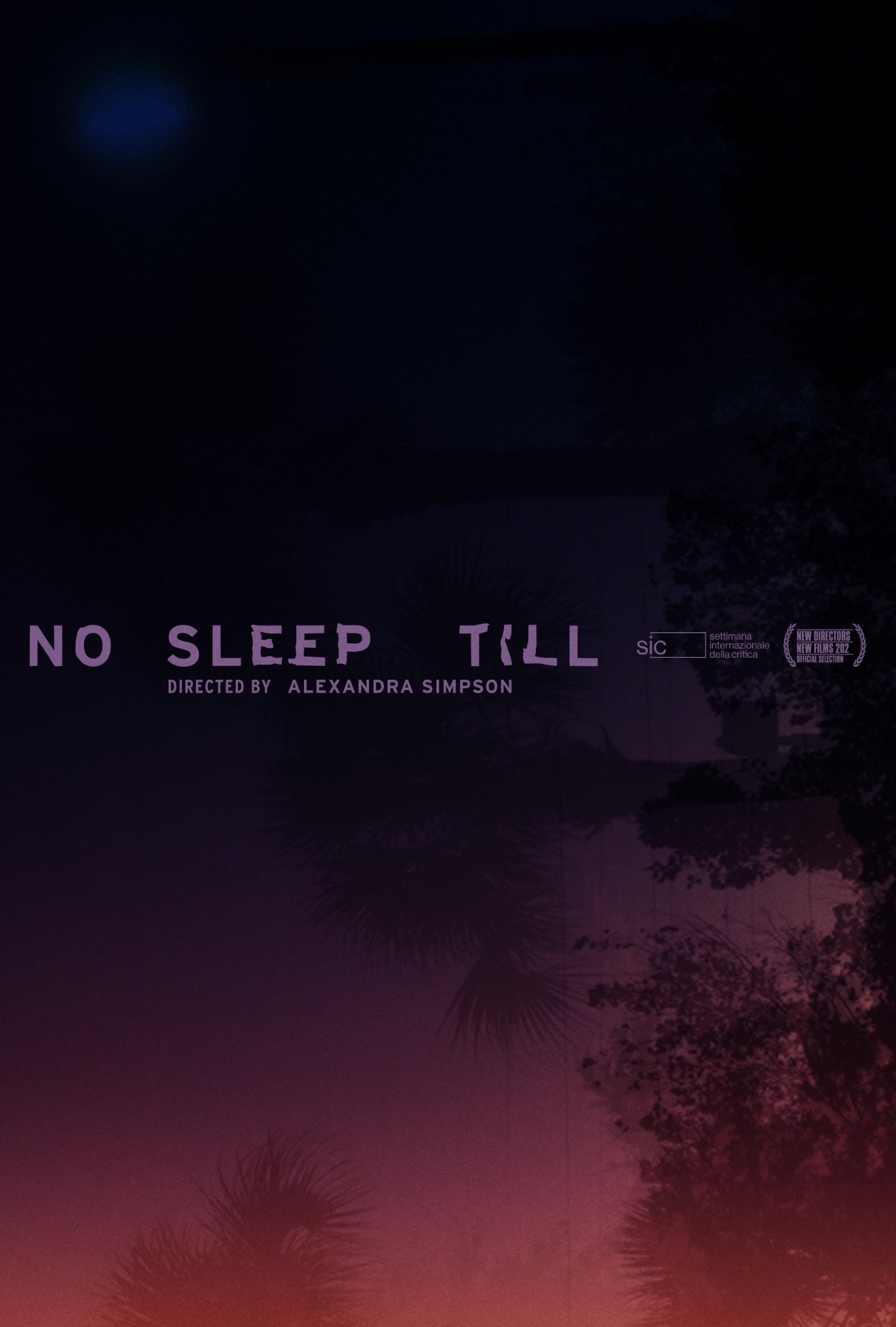 Poster de NO SLEEP TILL en inglés