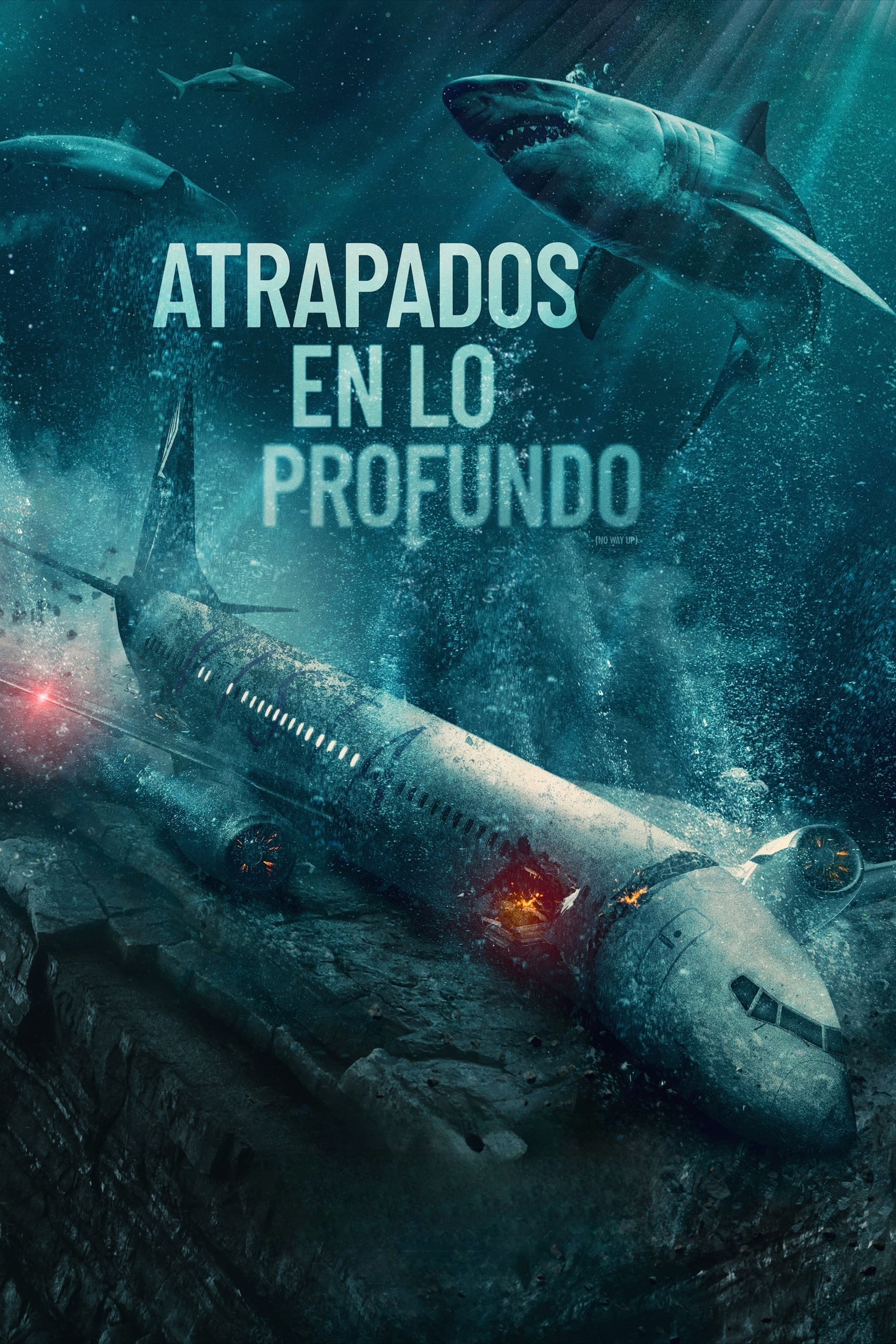 Poster de NO WAY UP en español
