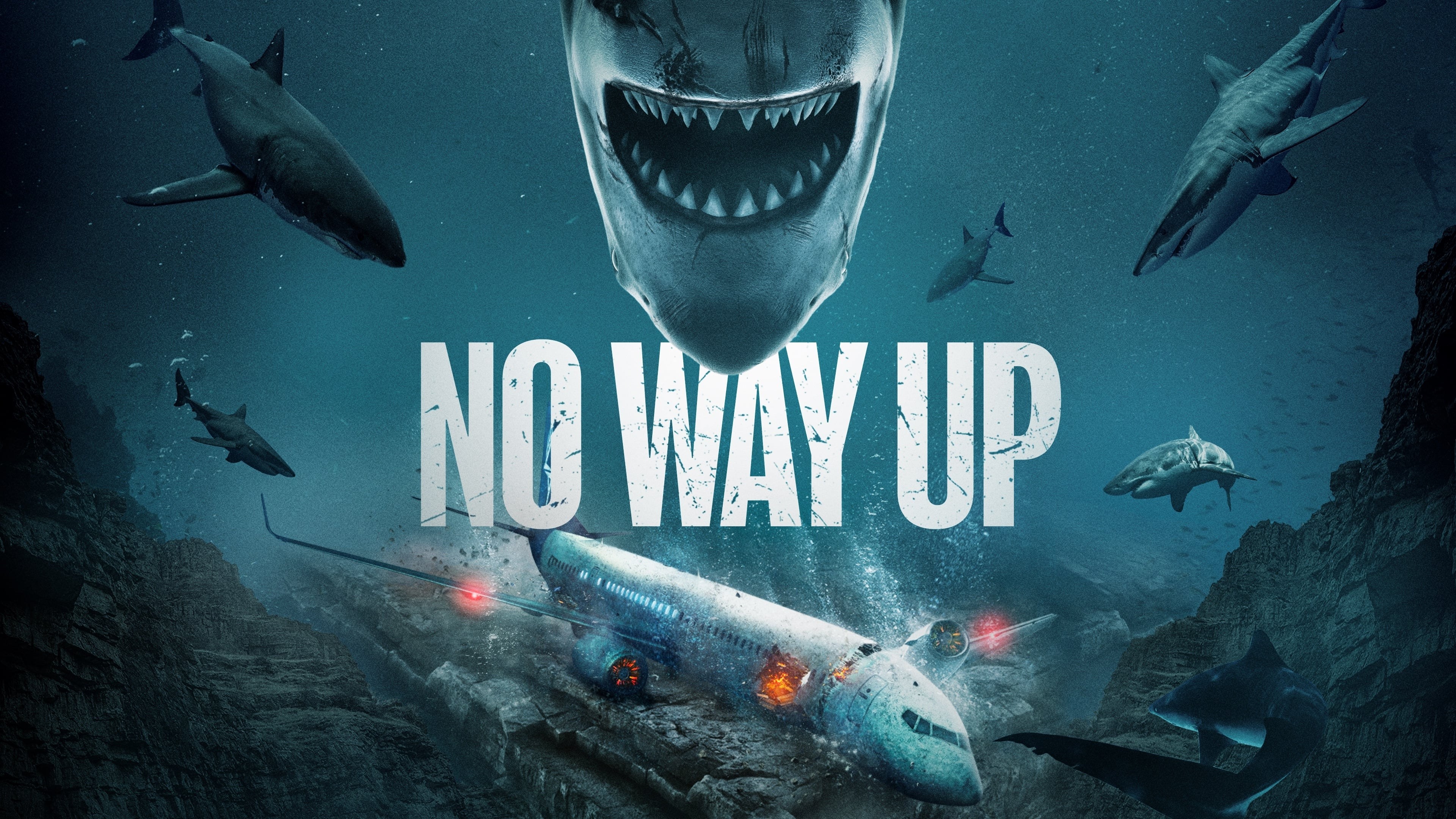 Foto de NO WAY UP