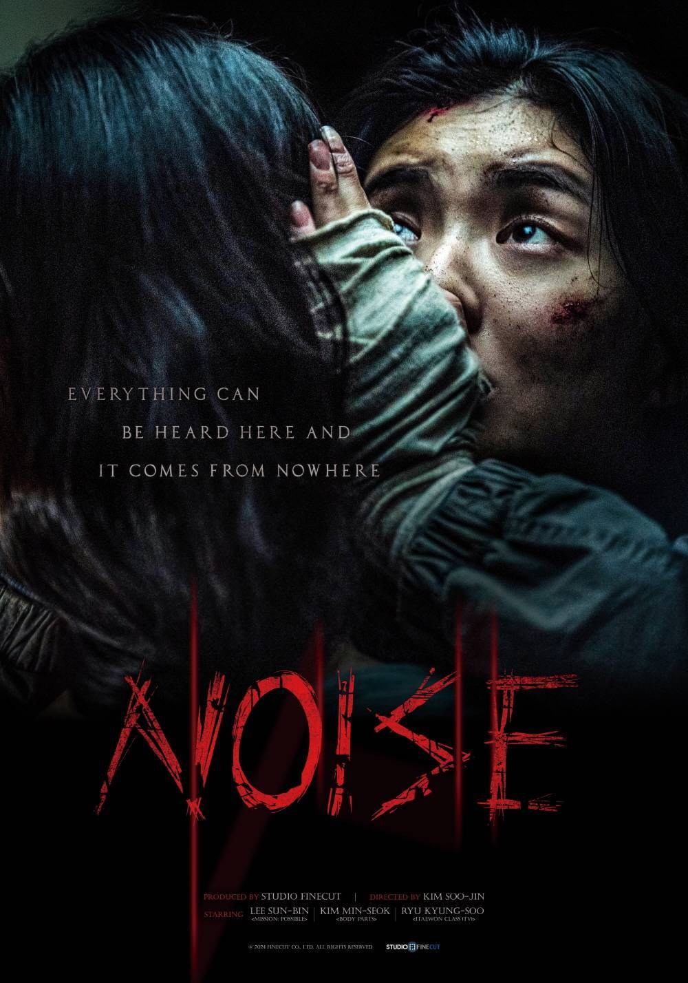 Poster de NOISE