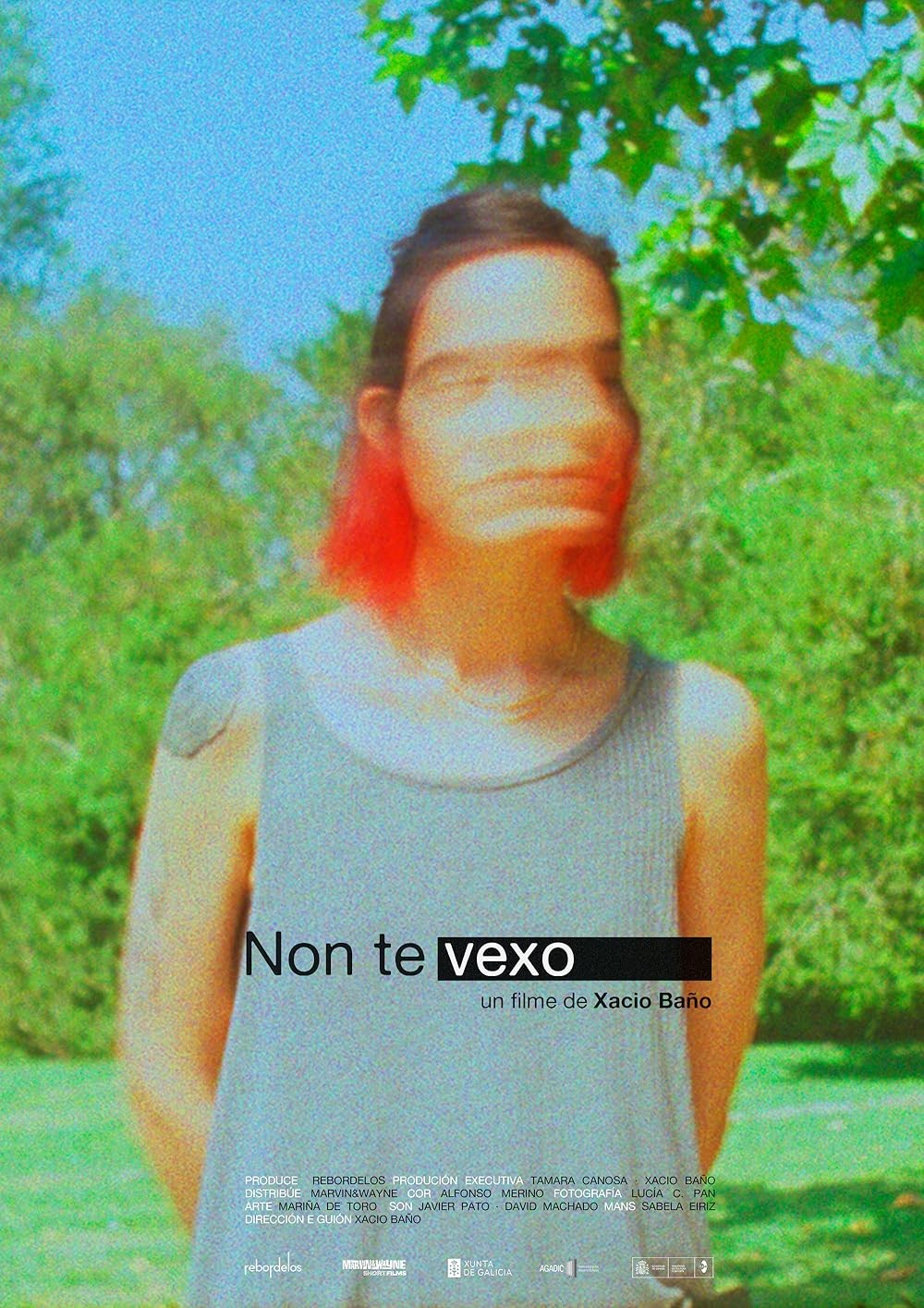 Poster de NON TE VEXO