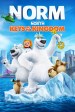 Norm of the North: Arctic All-Stars