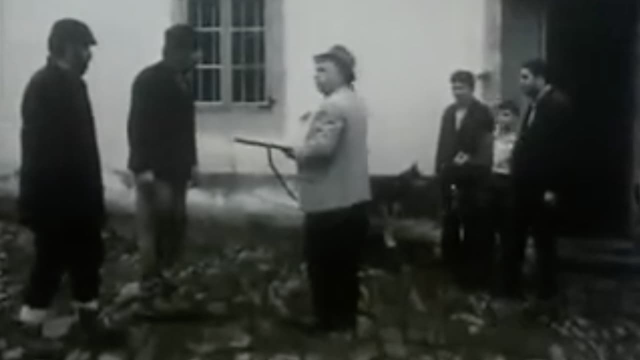 Foto de O CADALEITO