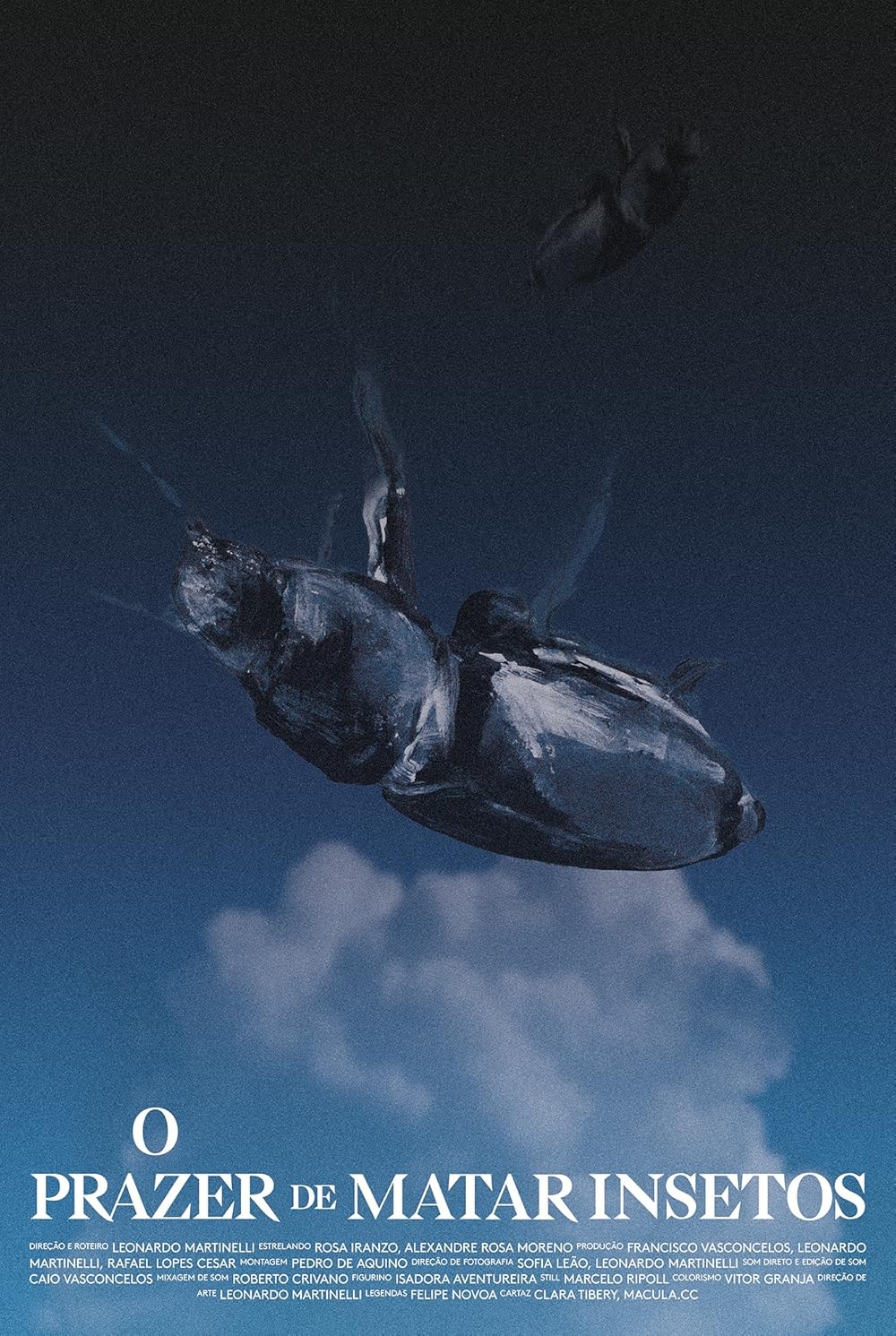 Poster de O PRAZER DE MATAR INSETOS
