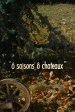 Película Ô saisons, ô châteaux