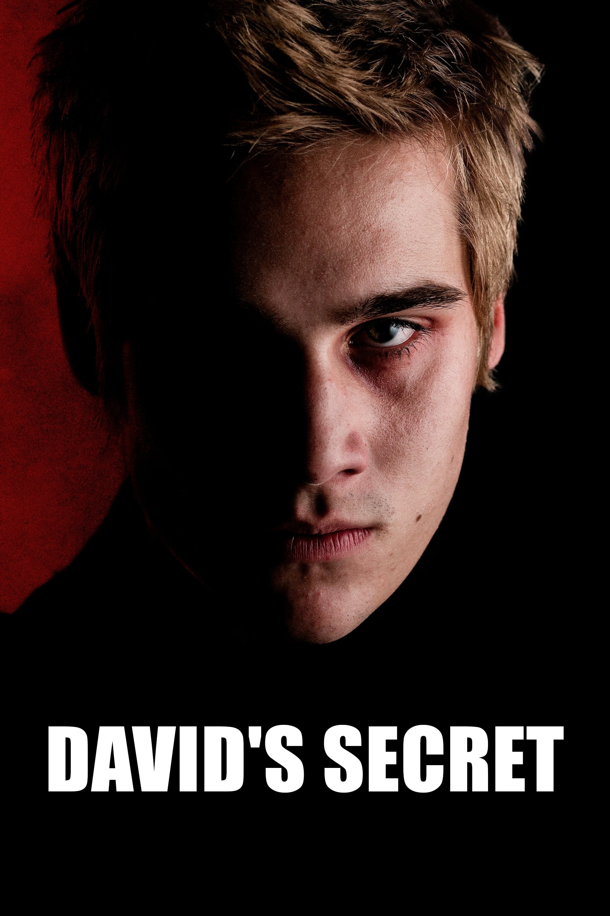 Poster de O SEGREDO DE DAVI en inglés