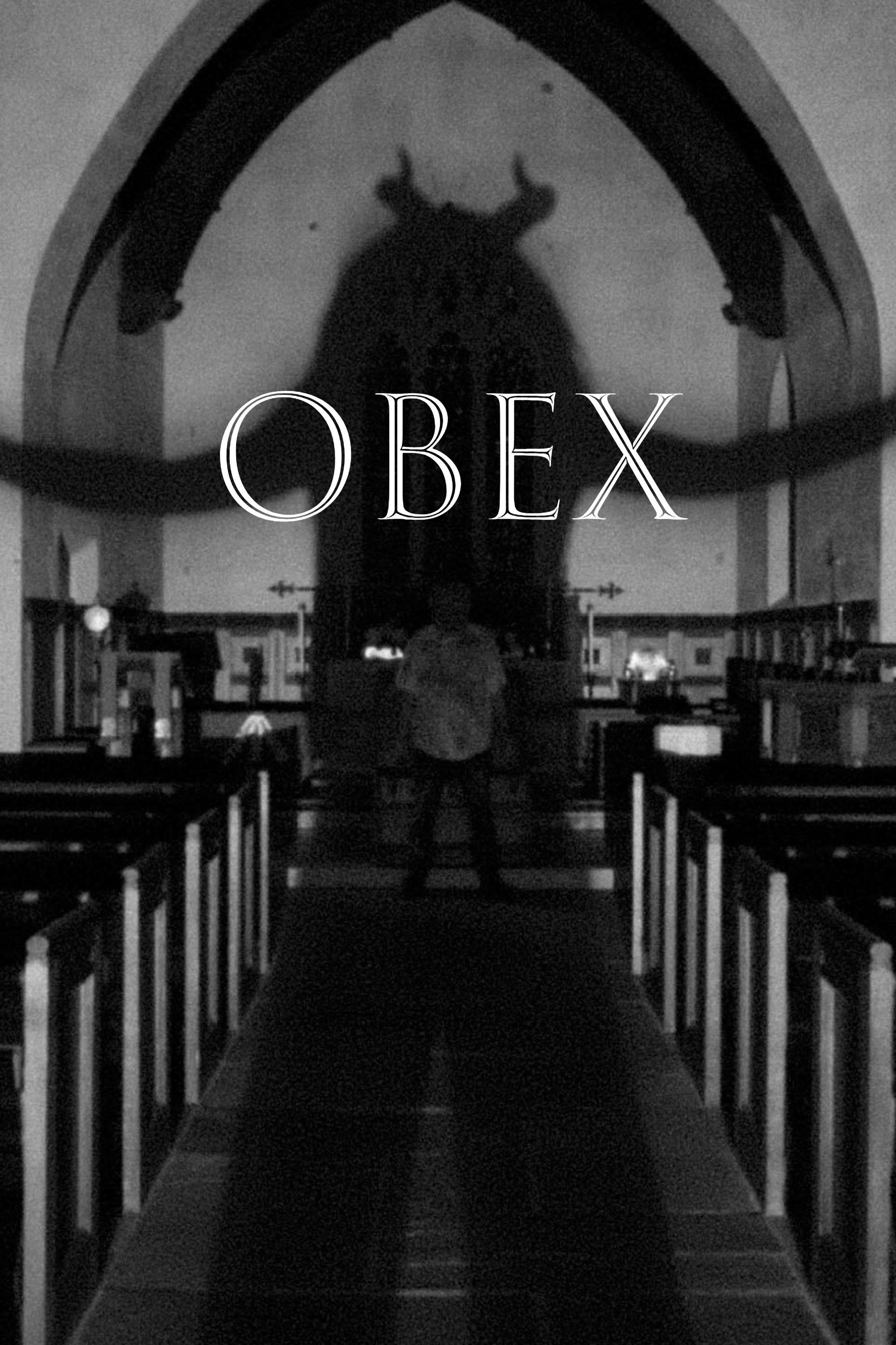 Poster de OBEX en inglés