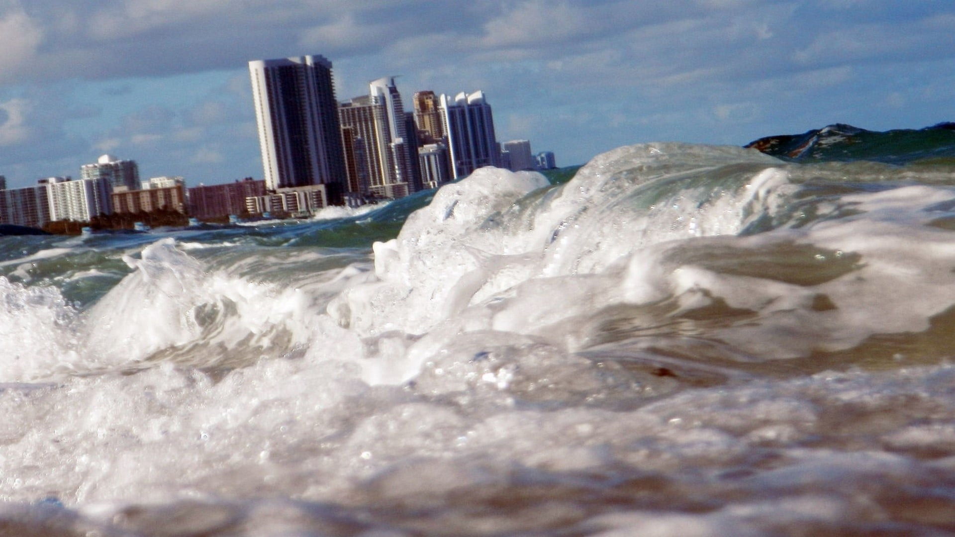Foto de OCEANS RISING