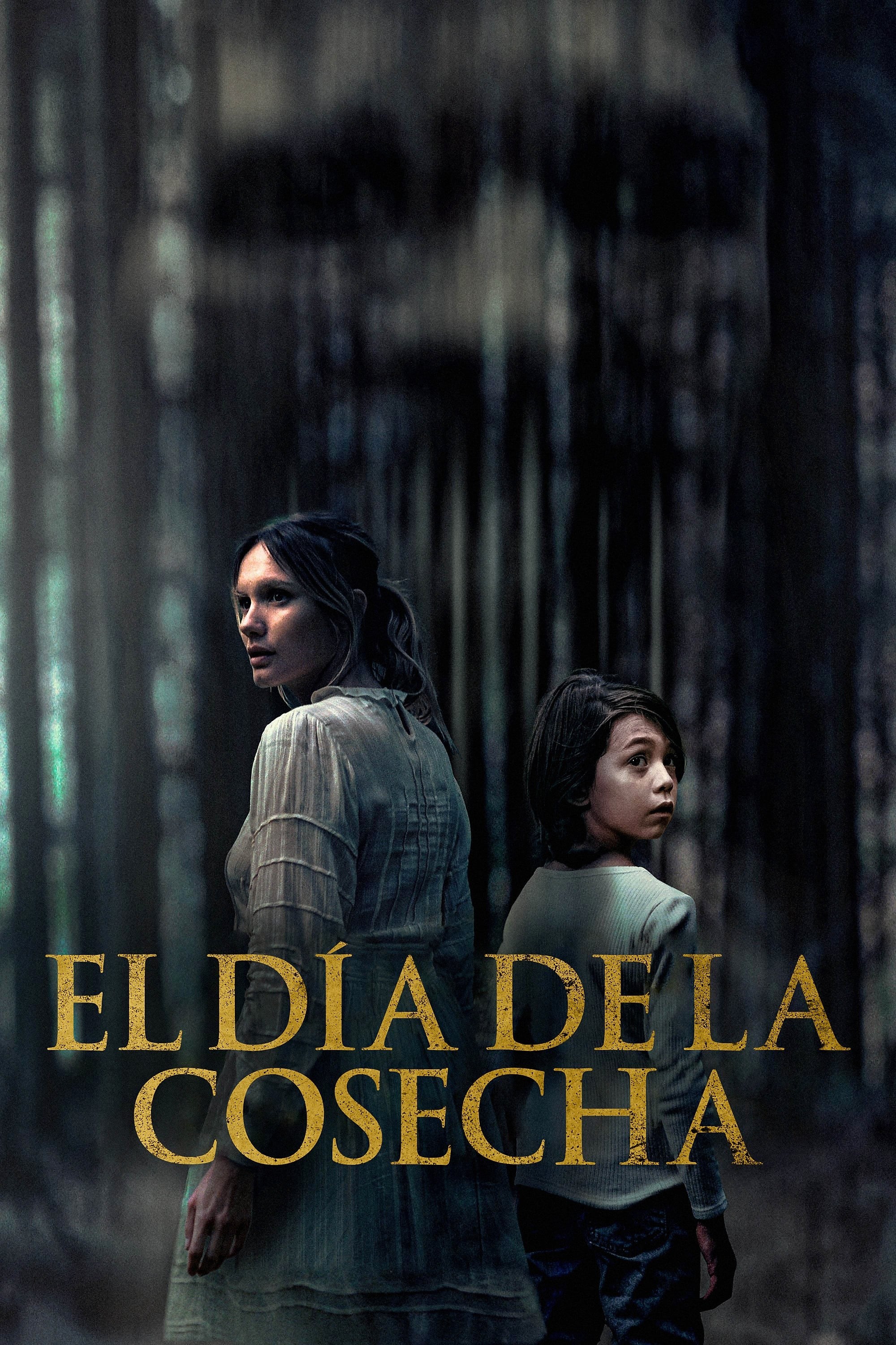 Poster de OGRE en español