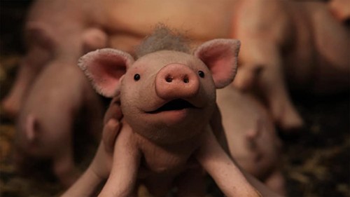 Foto de OINK OINK