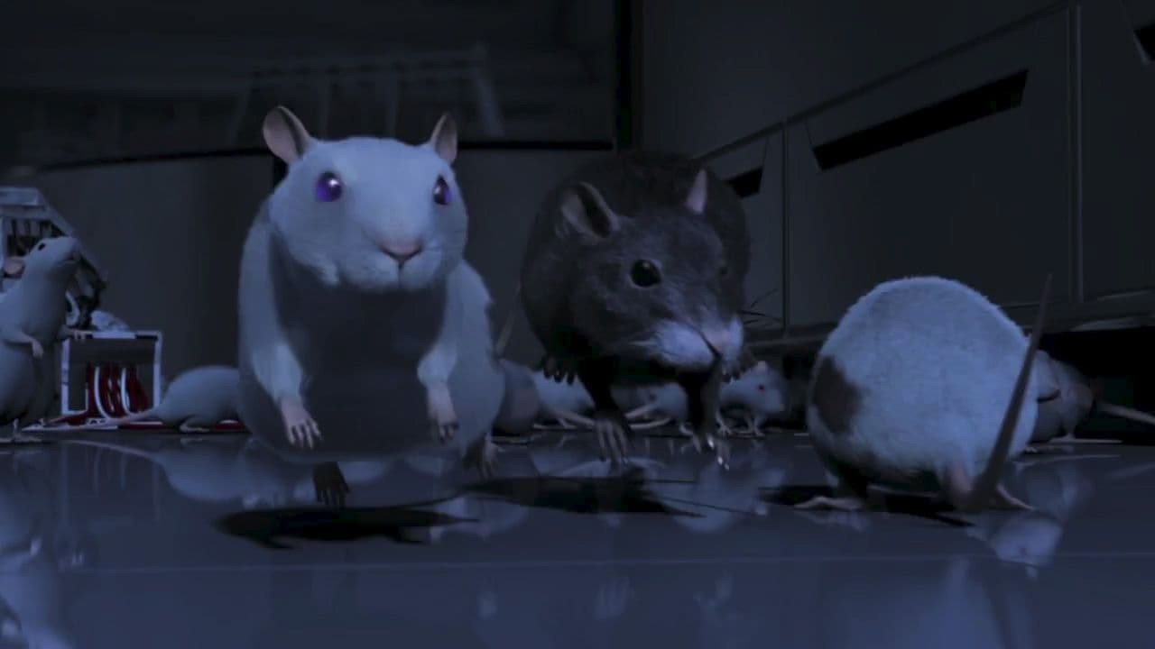 Foto de ONE RAT SHORT