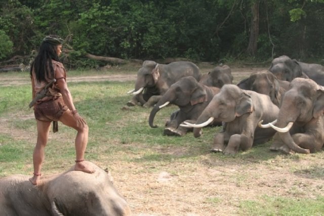 Foto de ONG BAK 2: LA LEYENDA DEL REY ELEFANTE