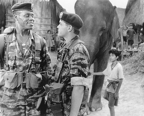 Foto de OPERACIÓN ELEFANTE
