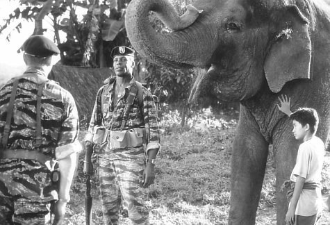 Foto de OPERACIÓN ELEFANTE