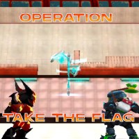 Operation Take the Flag