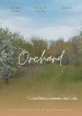 Orchard