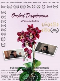Orchid Daydreams