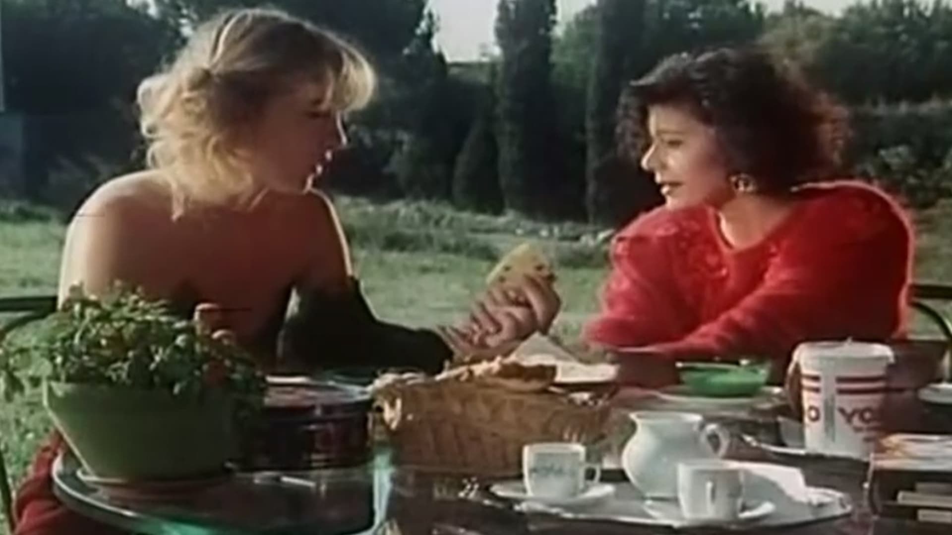 Foto de ORE 9 SCUOLA A TUTTO SESSO