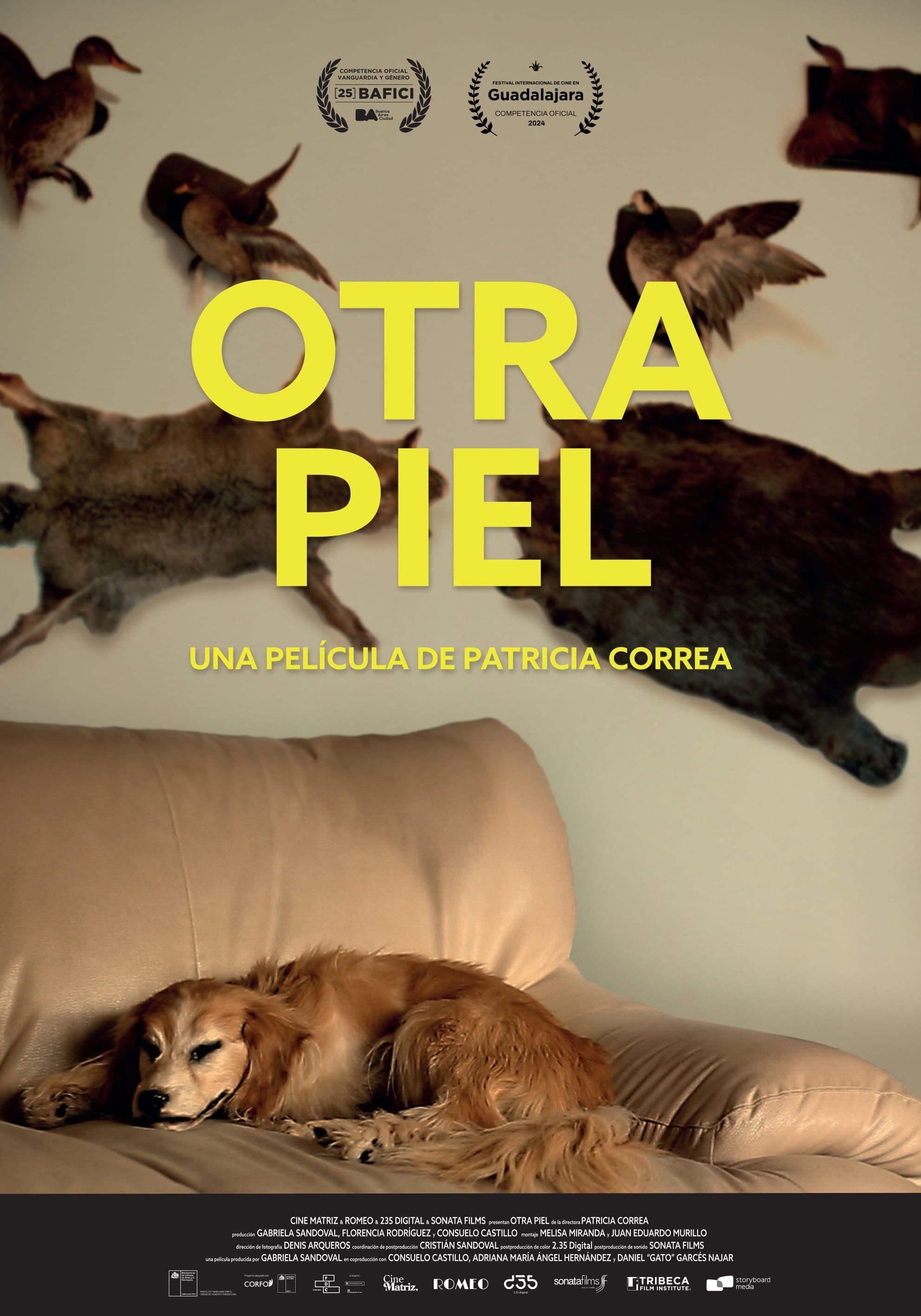 Poster de OTRA PIEL en español
