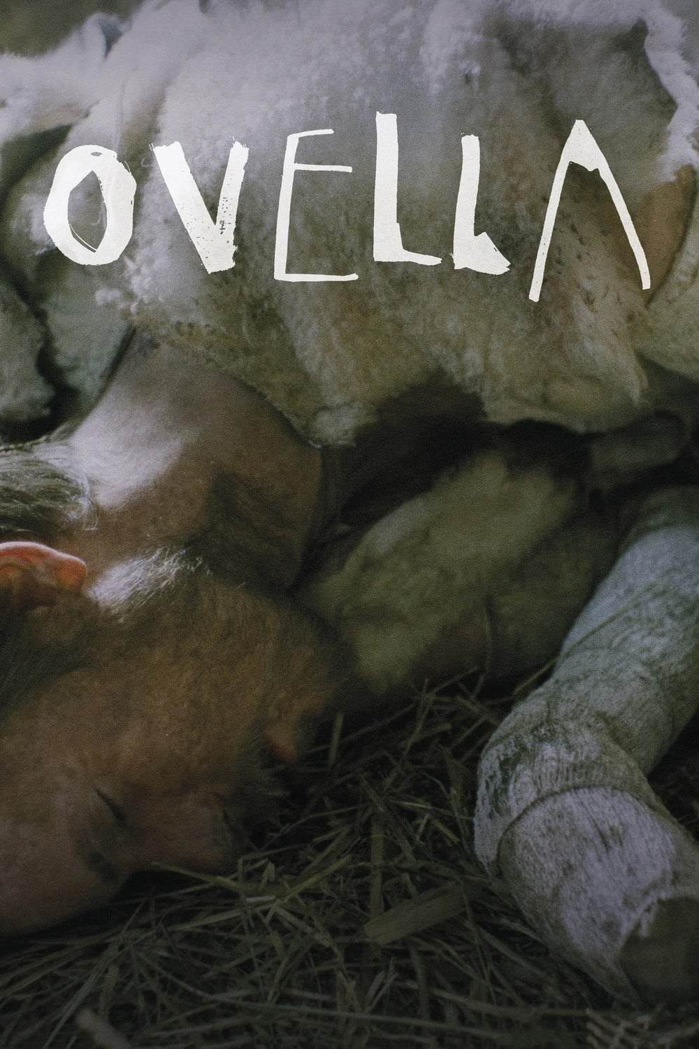 Poster de OVELLA