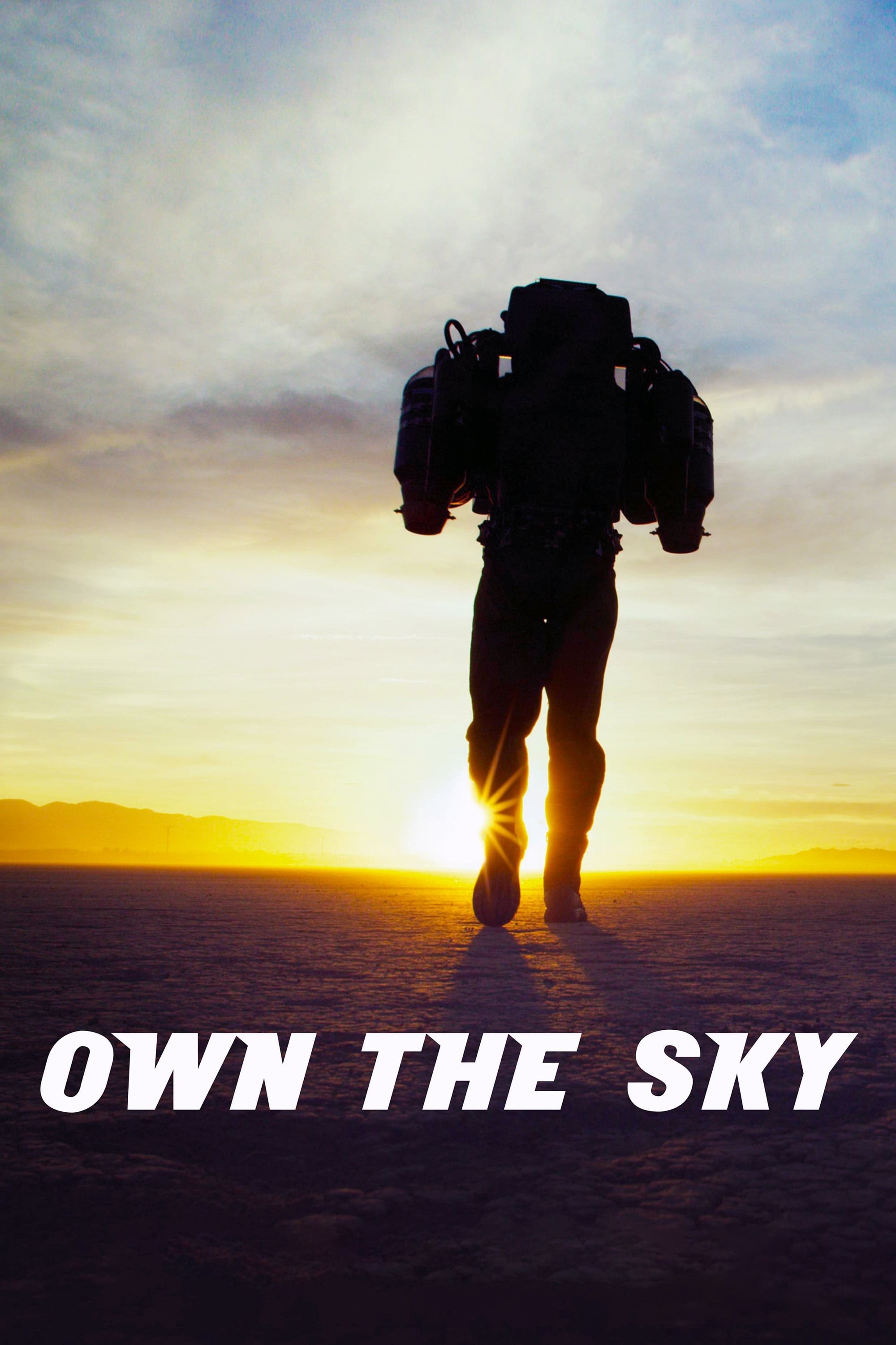 Poster de OWN THE SKY en inglés