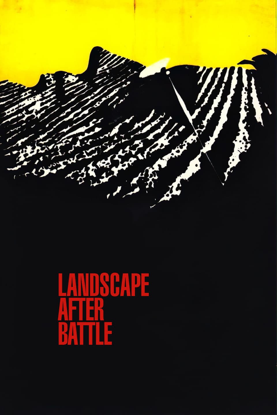 Poster de PAISAJE DESPUÉS DE LA BATALLA en inglés