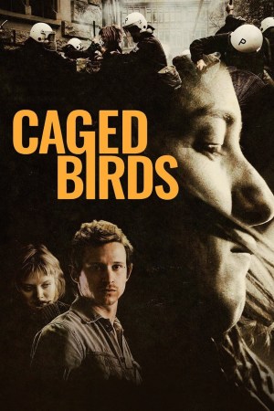 Pájaros enjaulados. Hasta que estemos muertos o libres