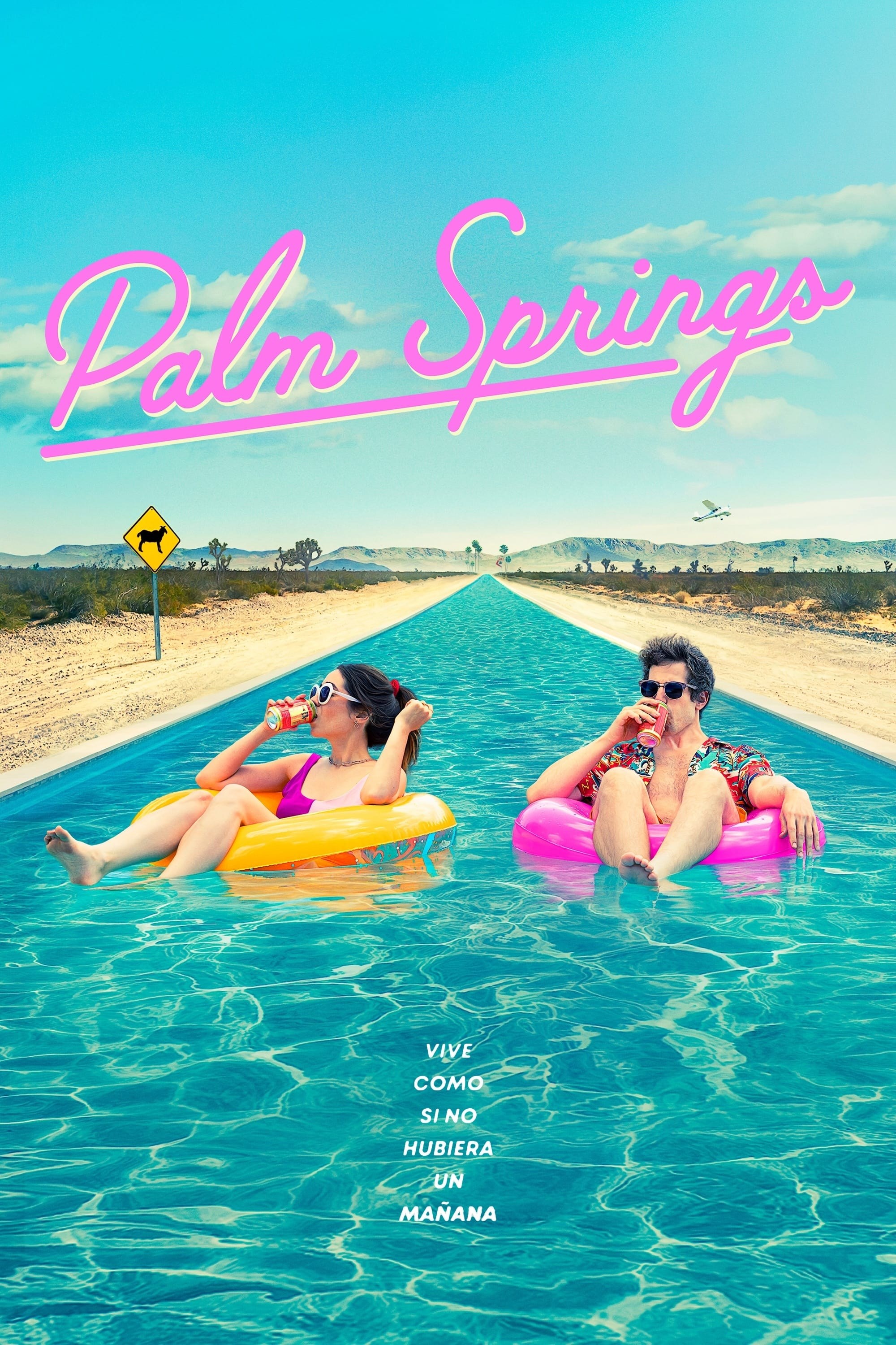Poster de PALM SPRINGS en español