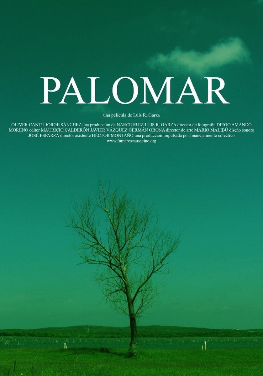 Poster de PALOMAR