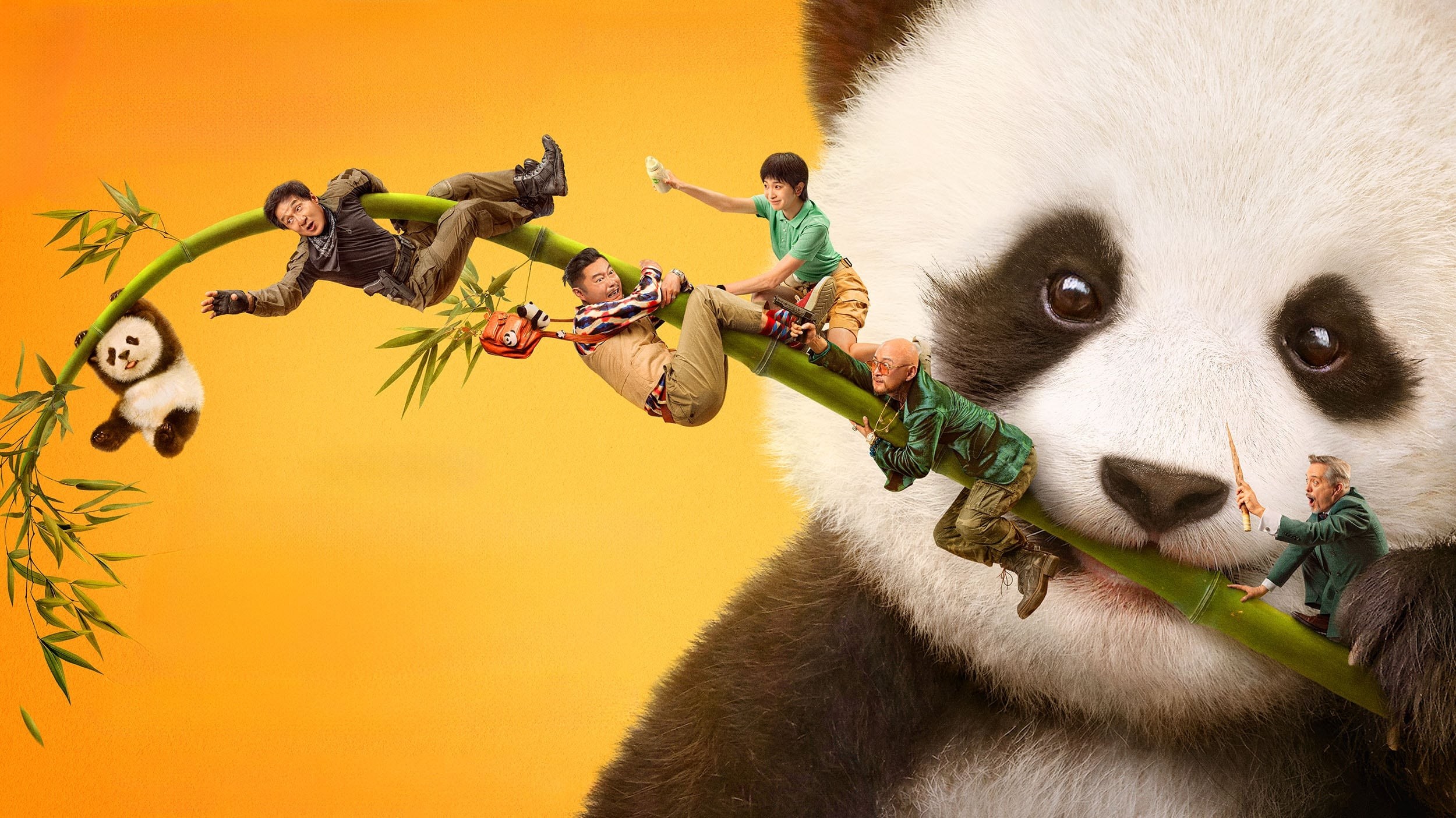 Foto de PANDA PLAN