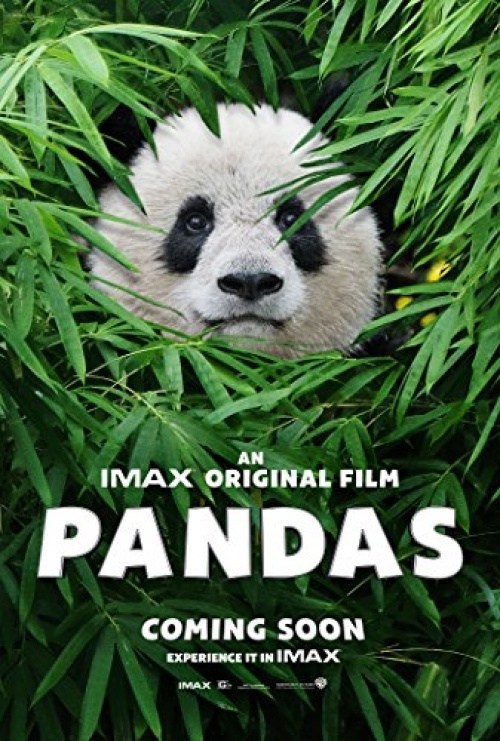 Poster de PANDAS