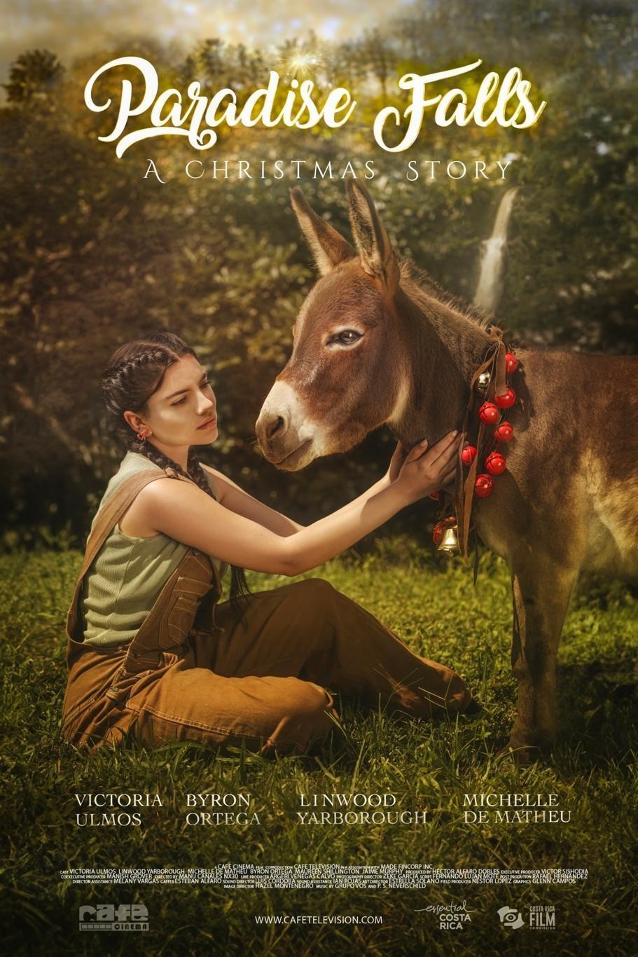 Poster de UNA NAVIDAD SIN NIEVE