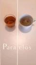 Paralelos