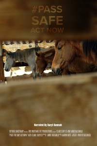 Pass the Safe Act Now