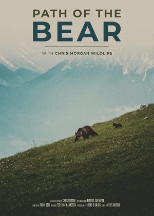 Path of the Bear