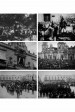 Patria nueva