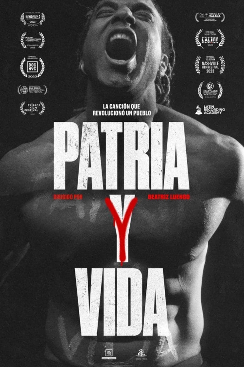 Poster de PATRIA Y VIDA
