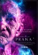 Patterns of life: Prana