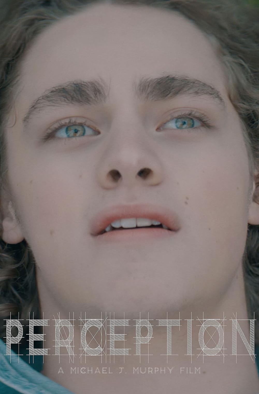 Poster de PERCEPTION