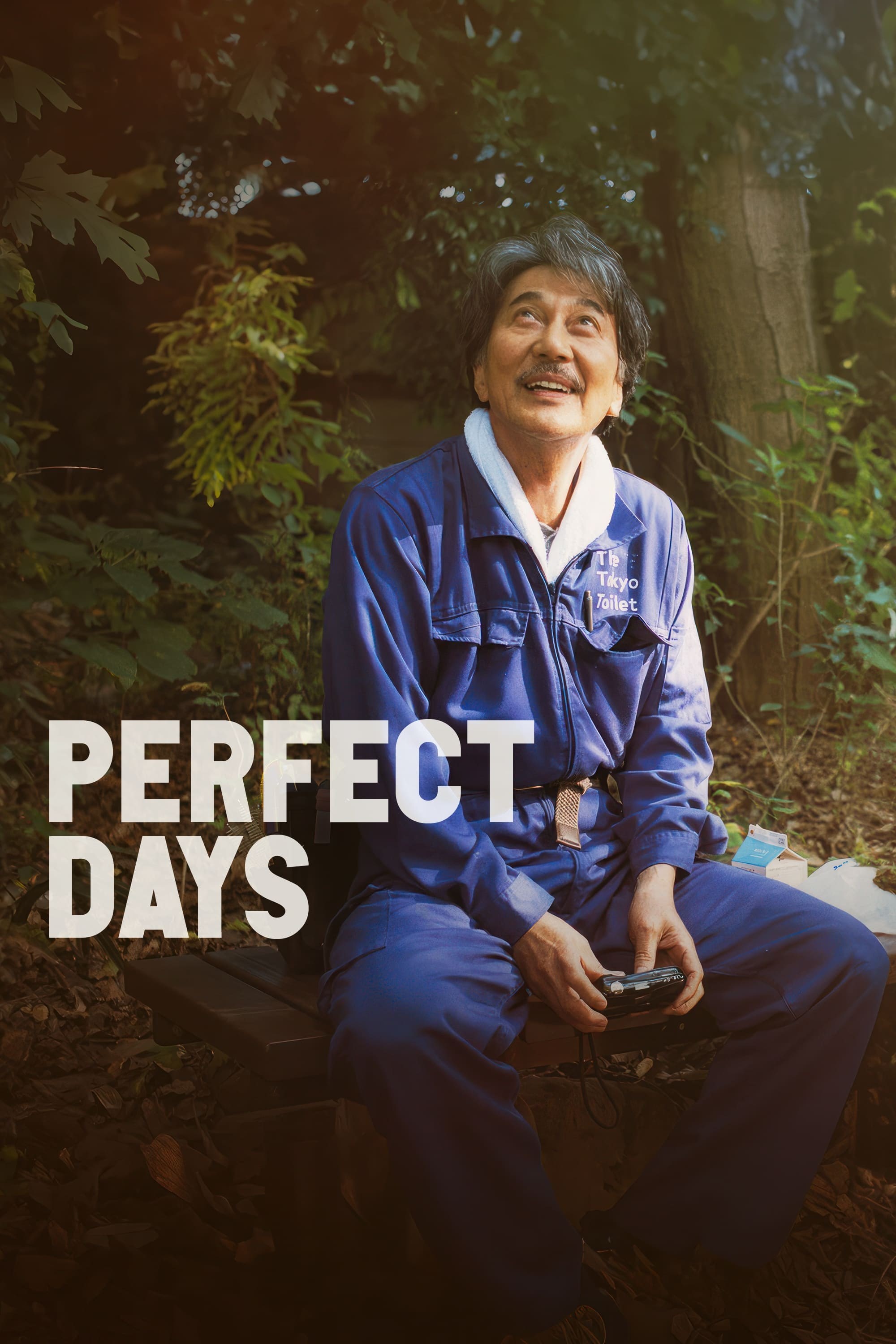 Poster de PERFECT DAYS para 