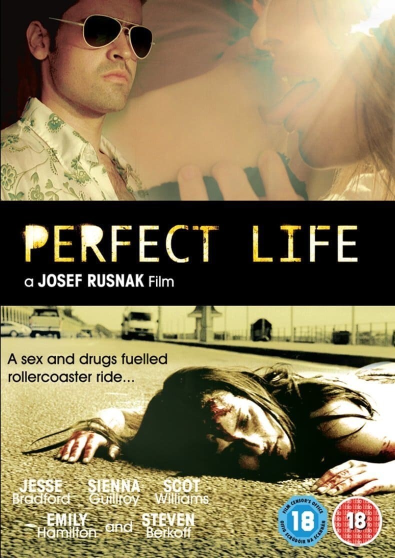 Poster de PERFECT LIFE en inglés