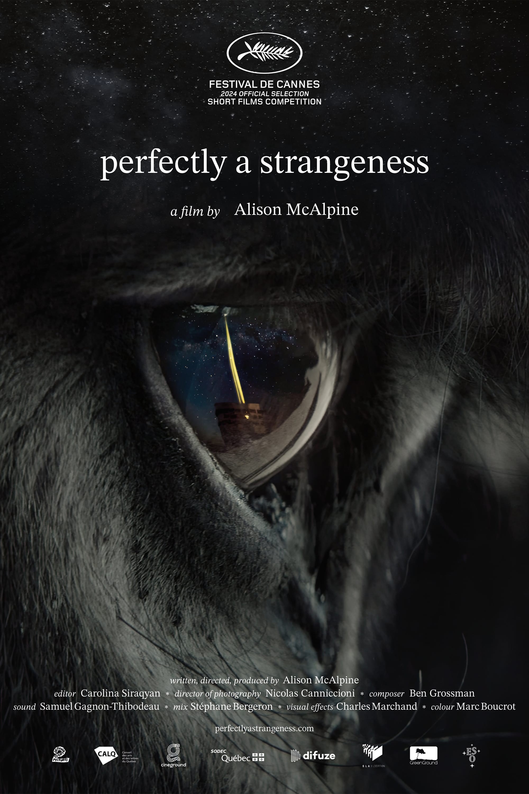 Poster de PERFECTLY A STRANGENESS