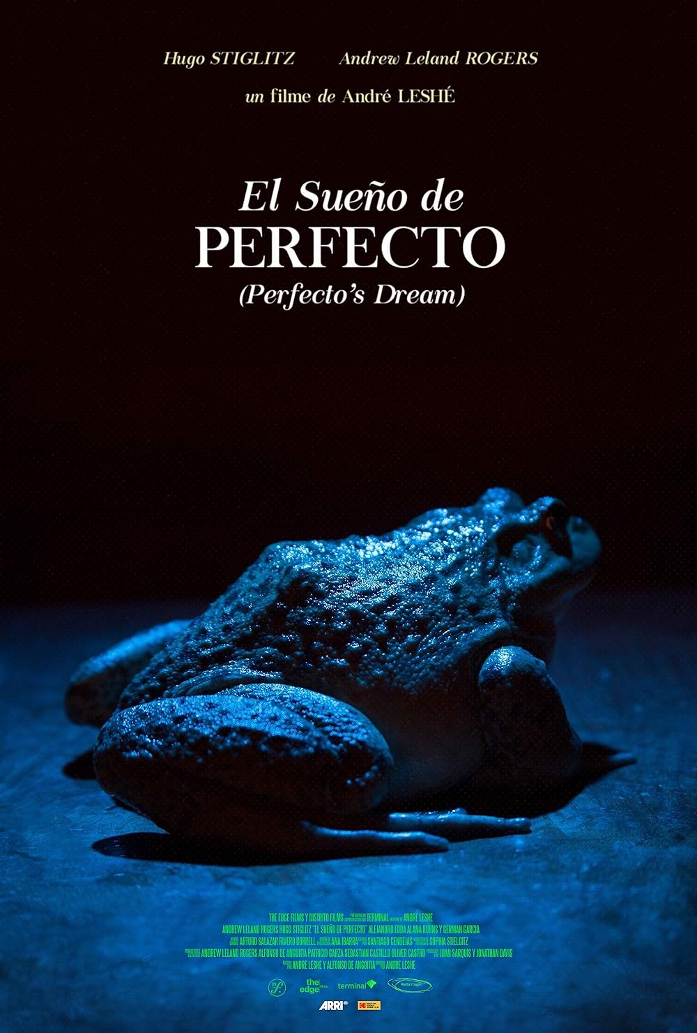 Poster de PERFECTO'S DREAM