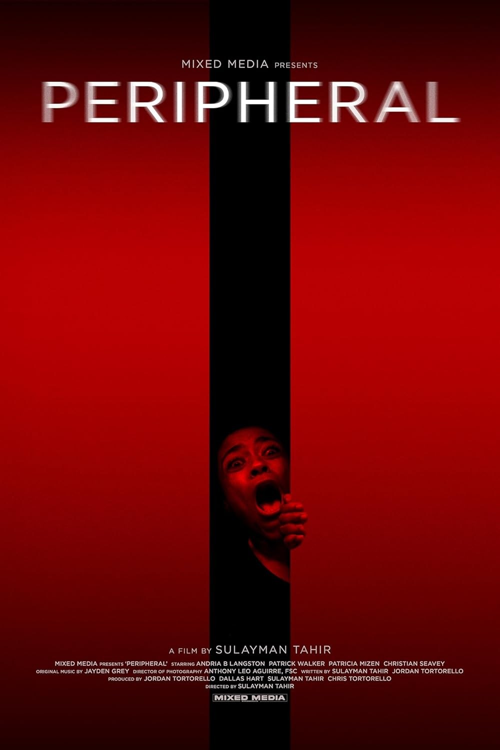 Poster de PERIPHERAL