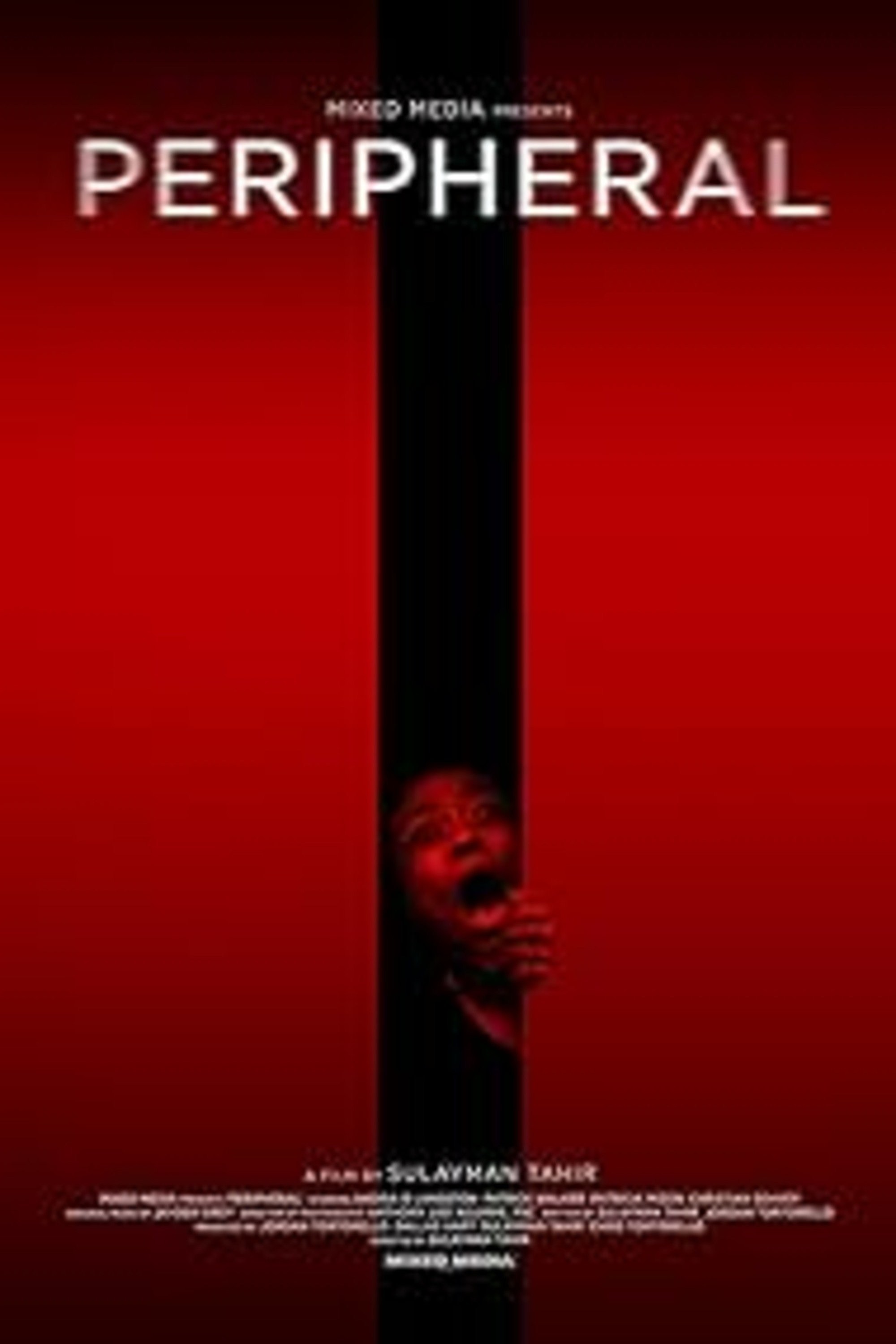 Poster de PERIPHERAL