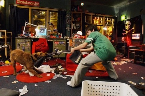 Foto de PERRO AL RESCATE