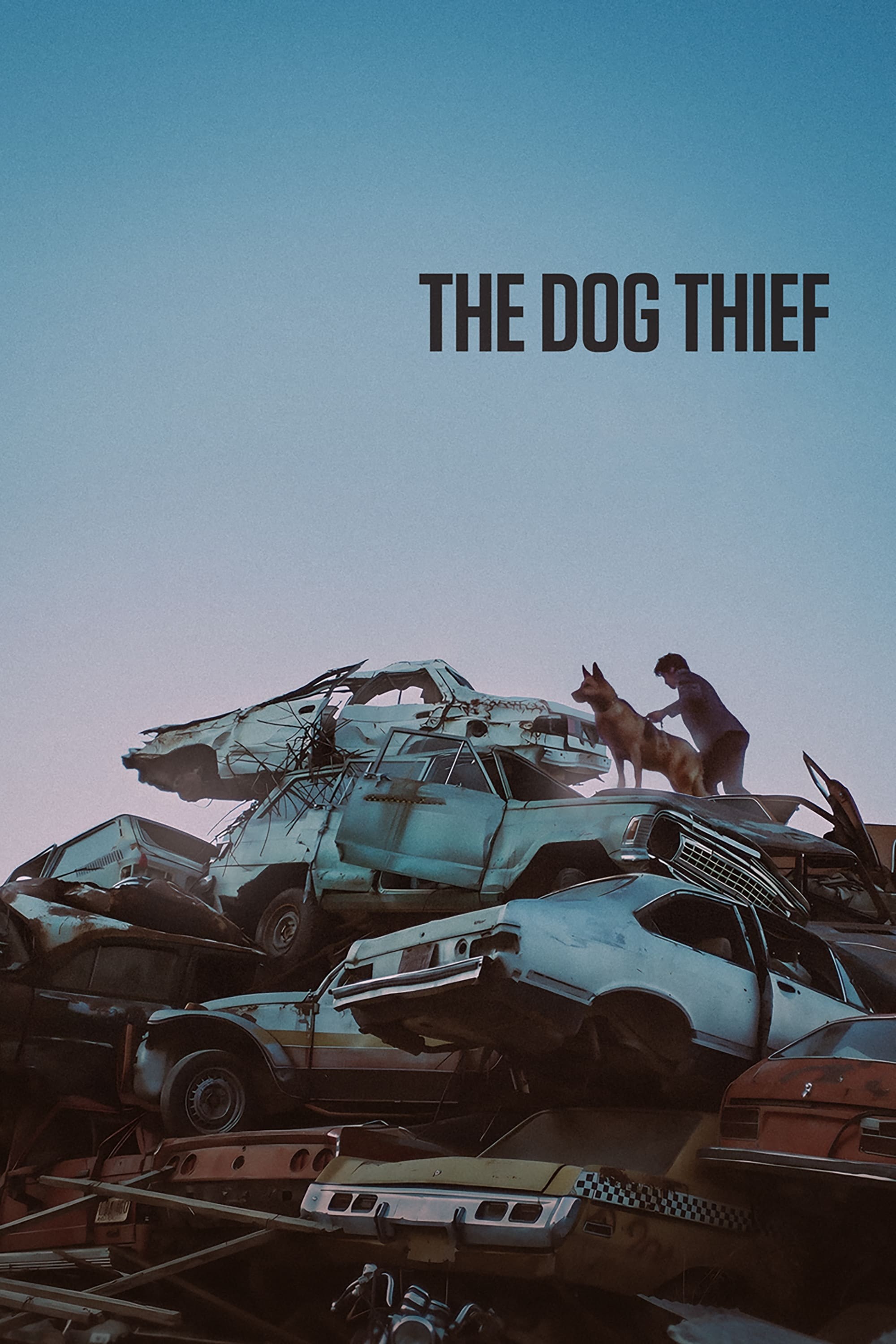 Poster de EL LADRÓN DE PERROS en inglés