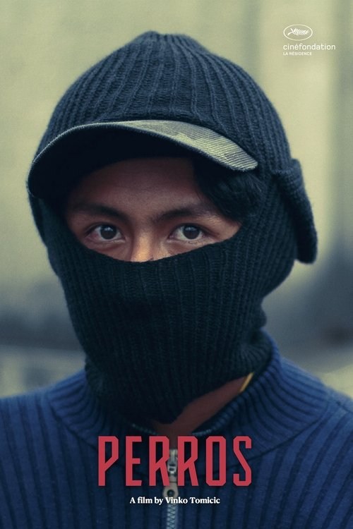 Poster de EL LADRÓN DE PERROS en español