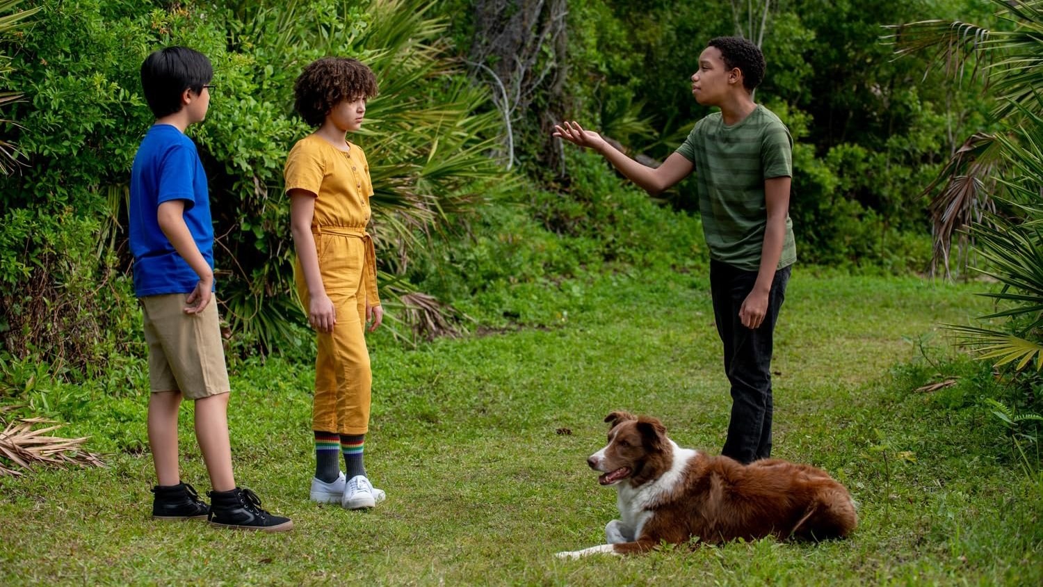 Foto de PET INVESTIGATORS